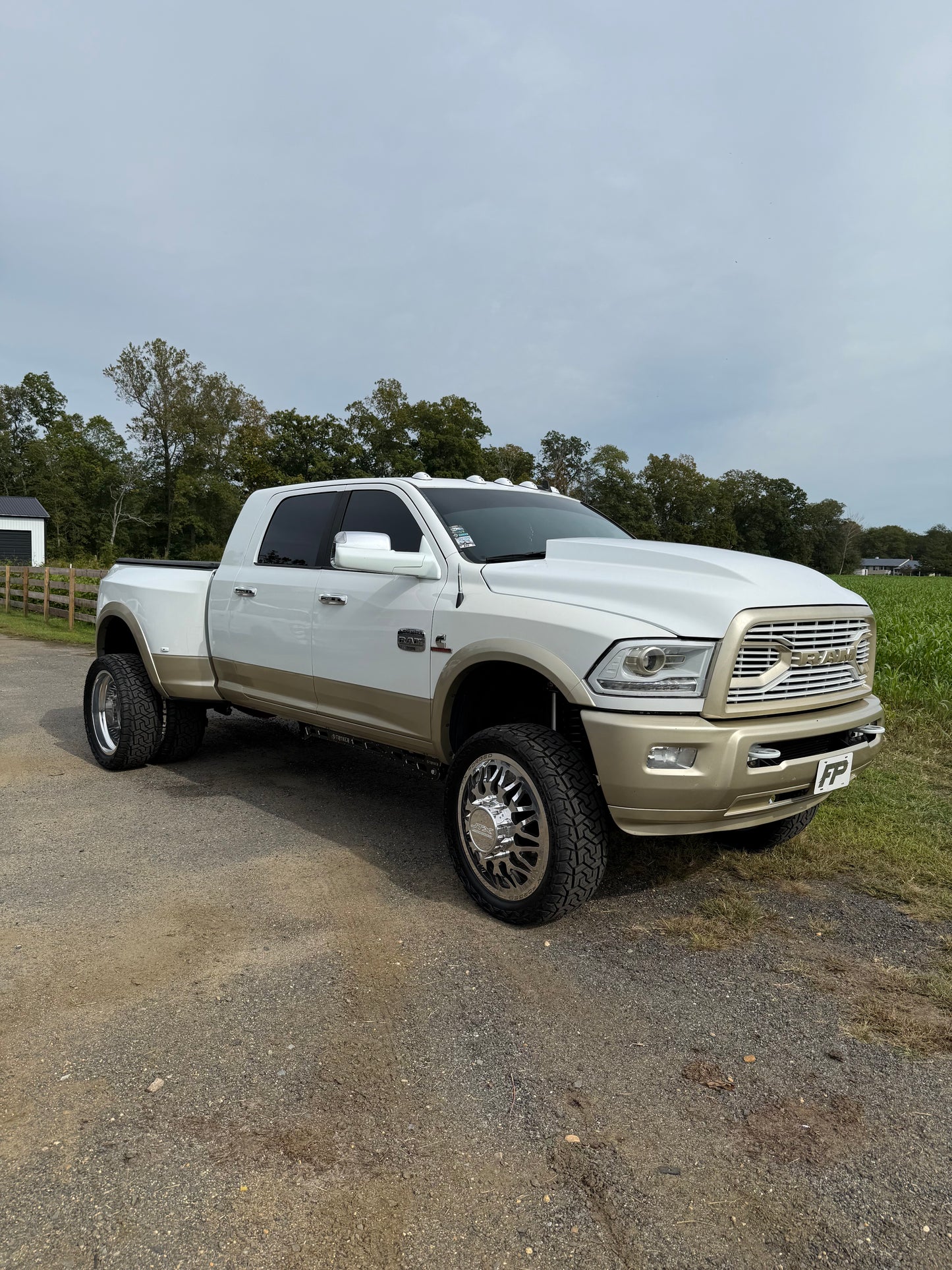 2009-2018 4th Gen Ram Cervinis Cowl Hoods